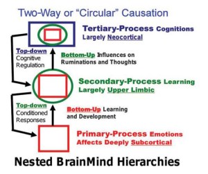 Panksepp_treStrategie
