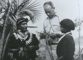 Schultes_amazon_1940s_crop