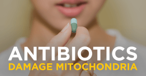 Antibiotics-Damage-Mitochondria