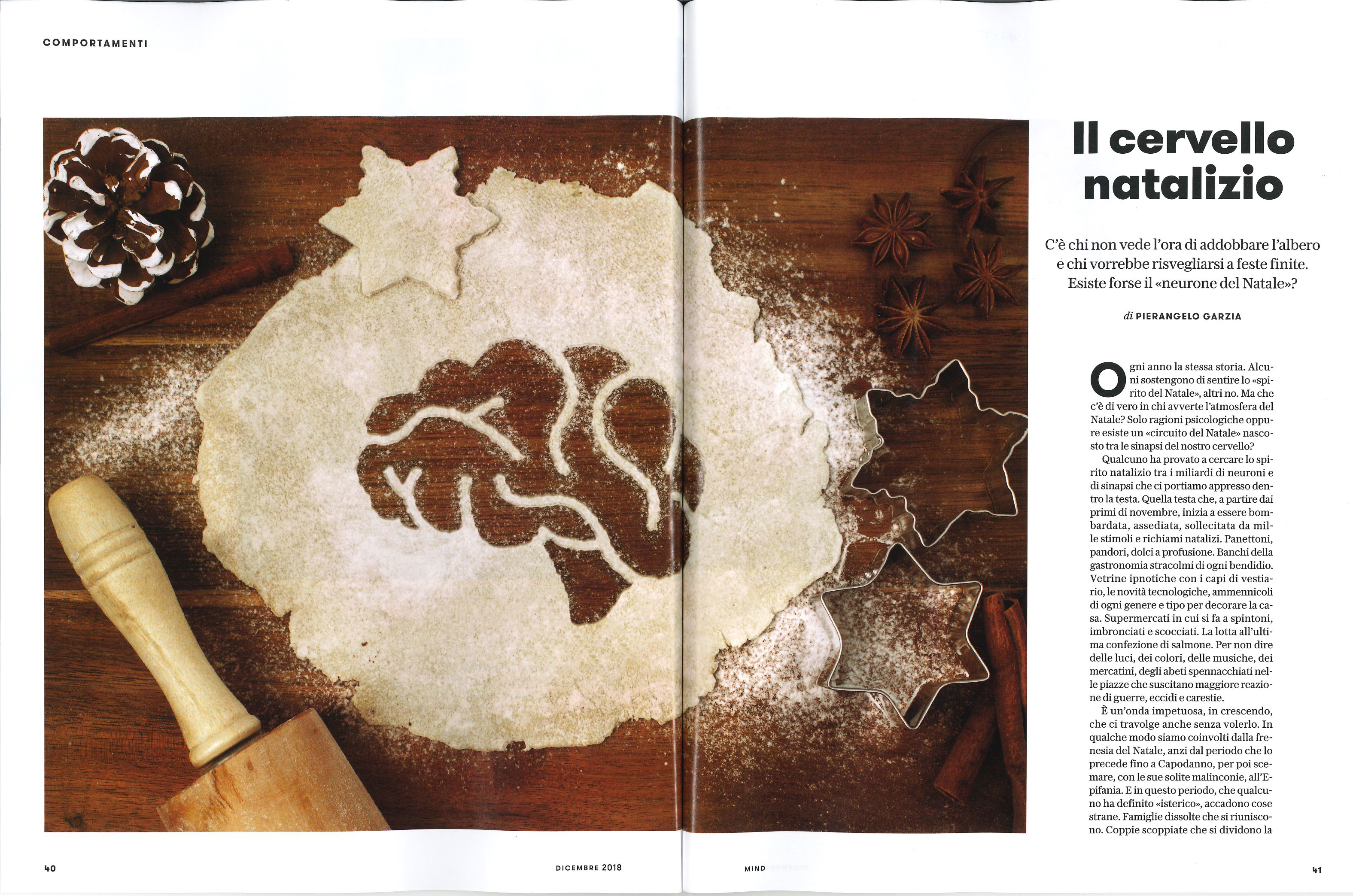 CervelloNatalizio_Immagine