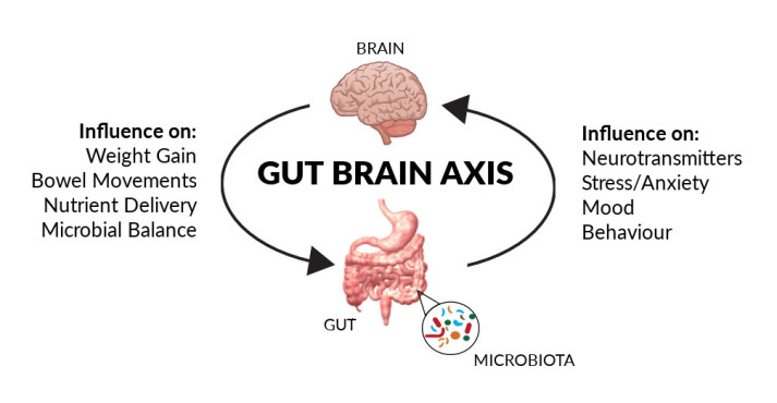 gut-brain-axis