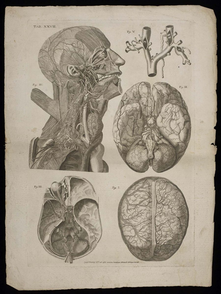 Paolo_Mascagni_DisegniAnatomici