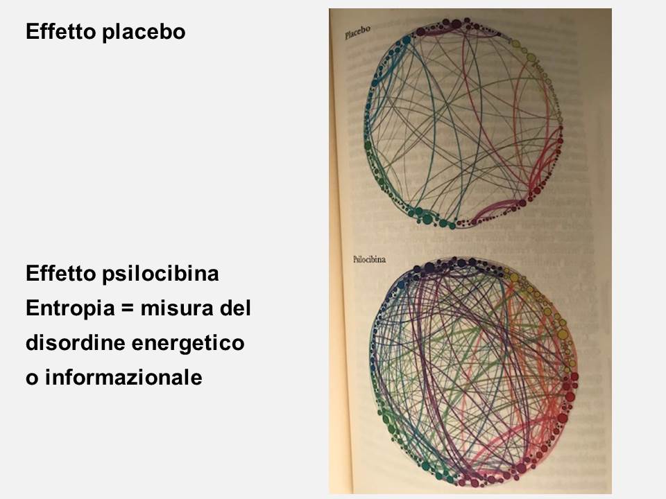 connessioni